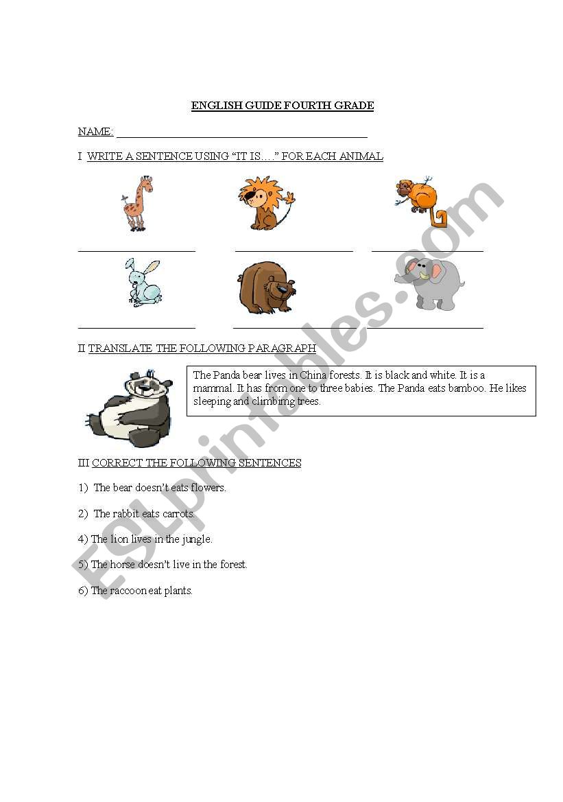 Animals worksheet