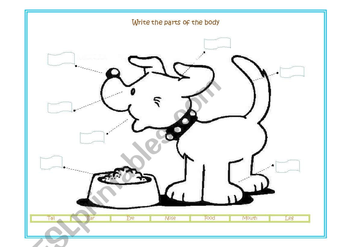 Animals parts of the body worksheet