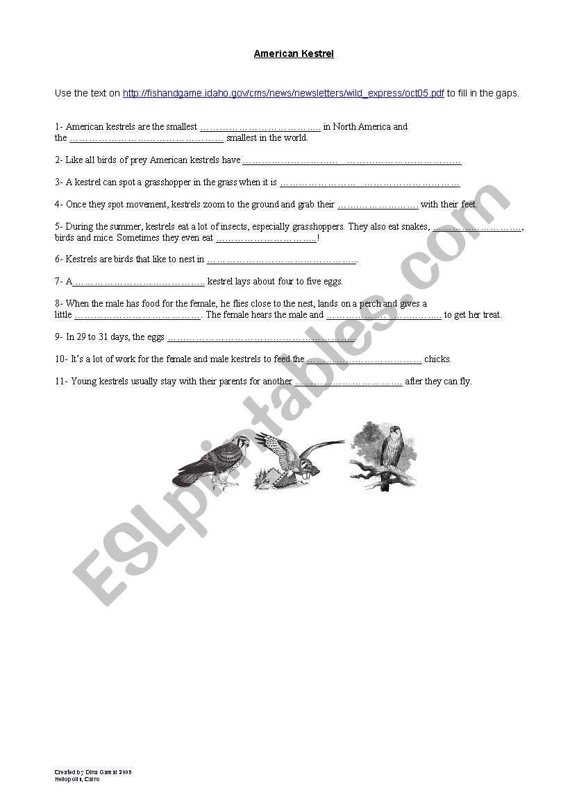 Kestrels worksheet