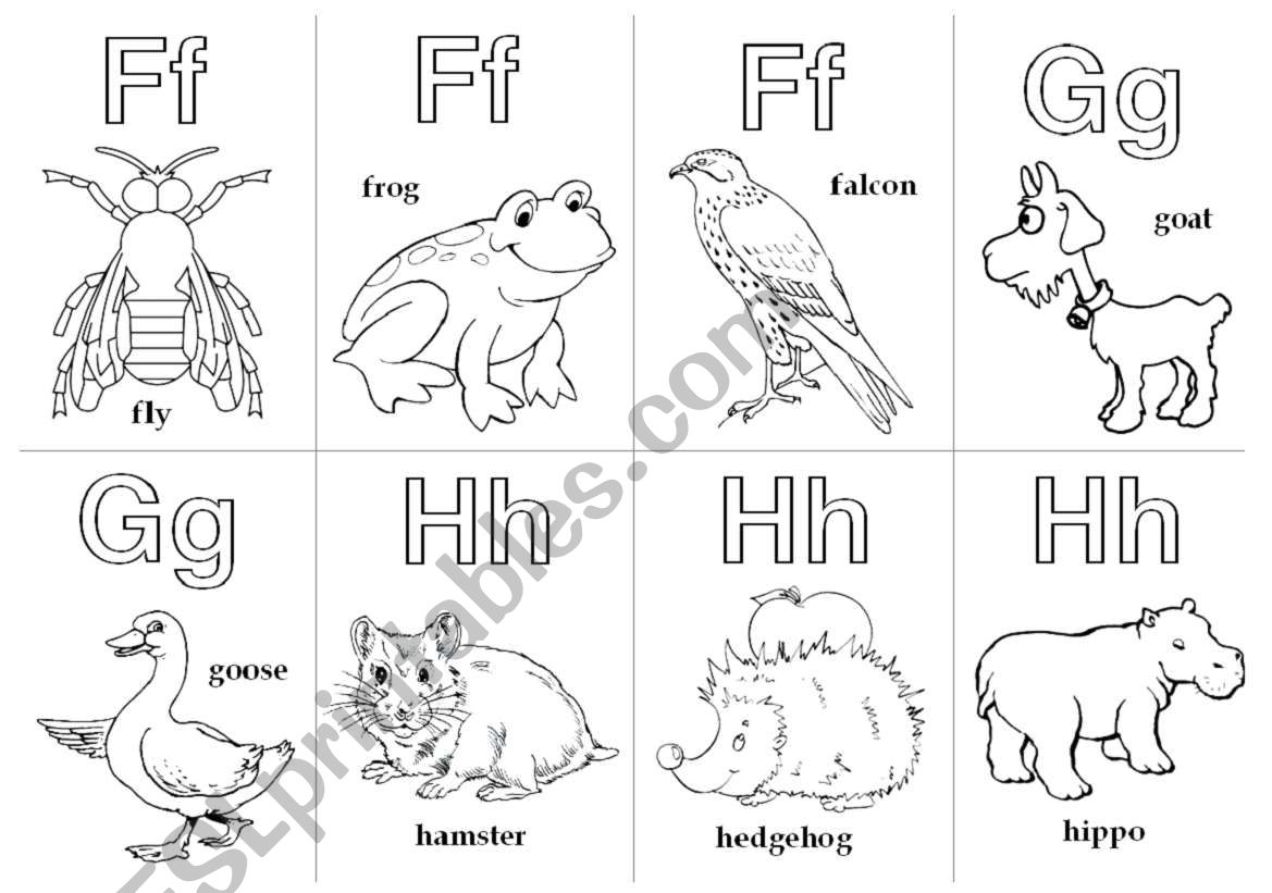 Animal Alphabet Cards_Extension 3