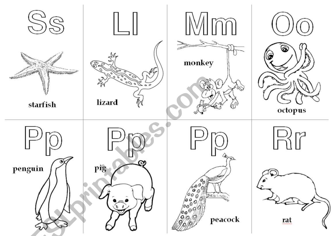 Animal Alphabet Cards_Extension 4