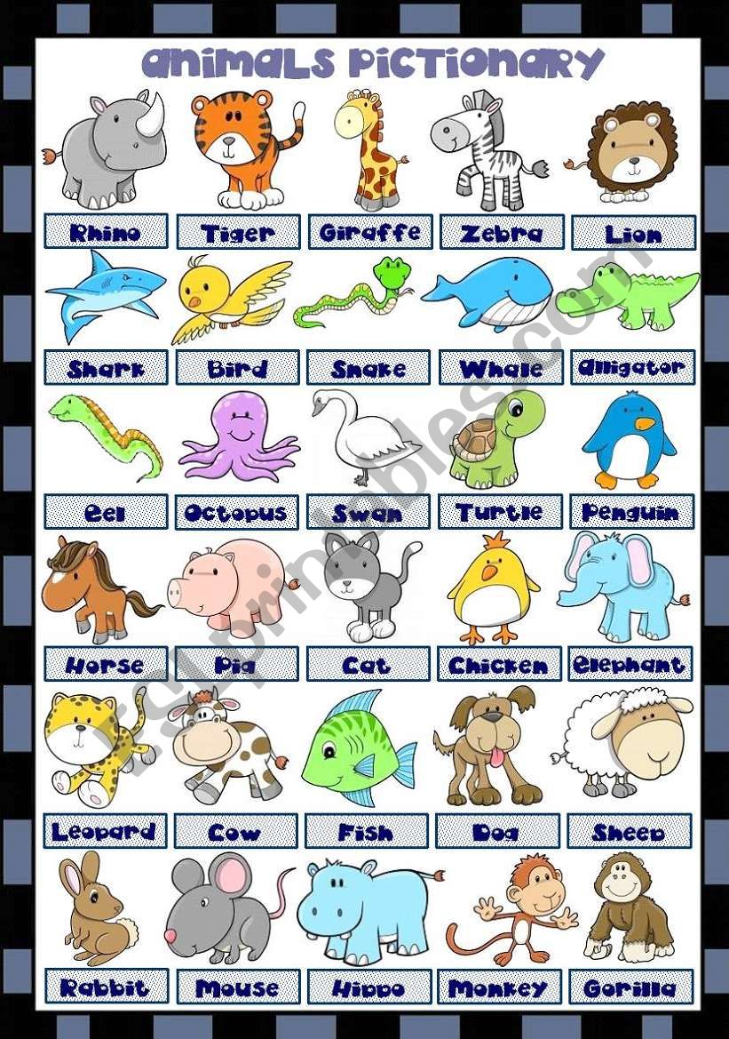 ANIMALS PICTIONARY  worksheet