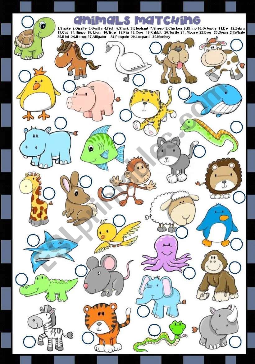 ANIMALS MATCHING  worksheet