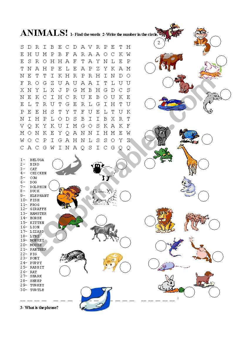 Animals worksheet