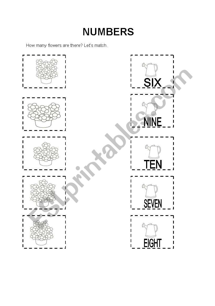 NUMBERS worksheet