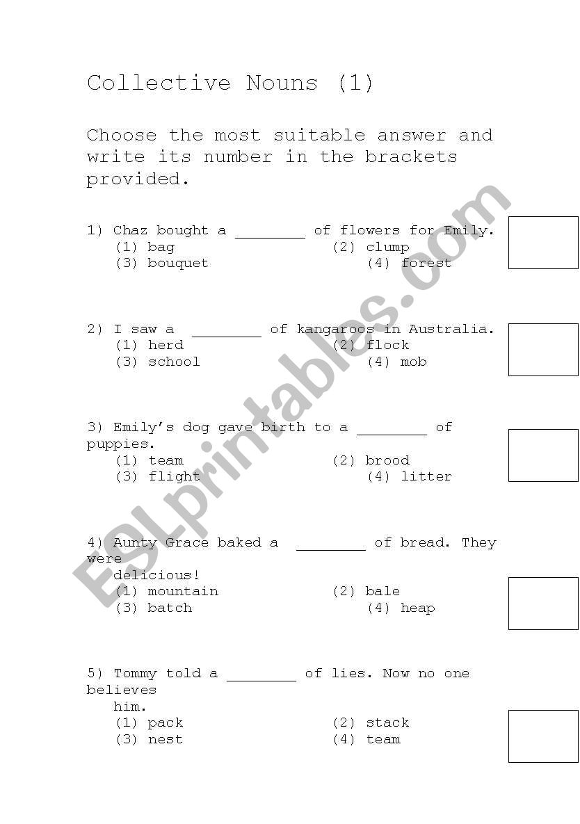 Collective noun 1 worksheet