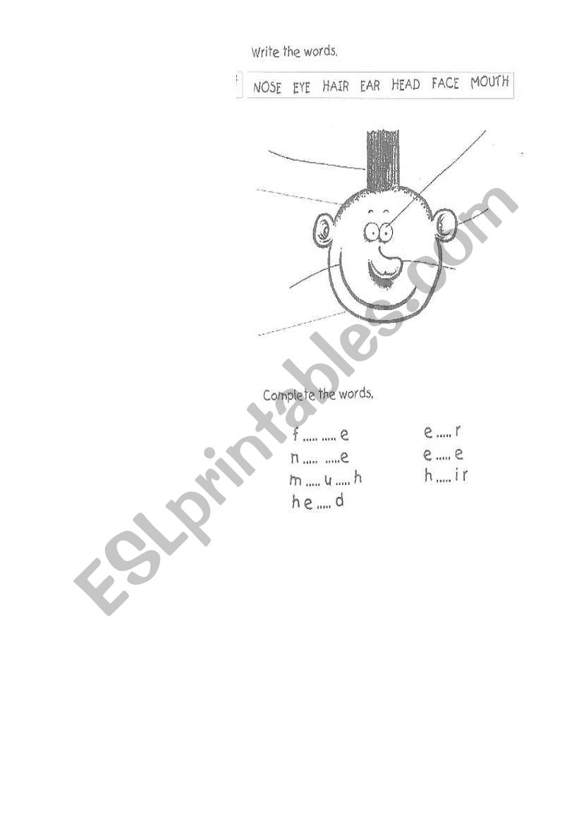 parts of the body The head. worksheet