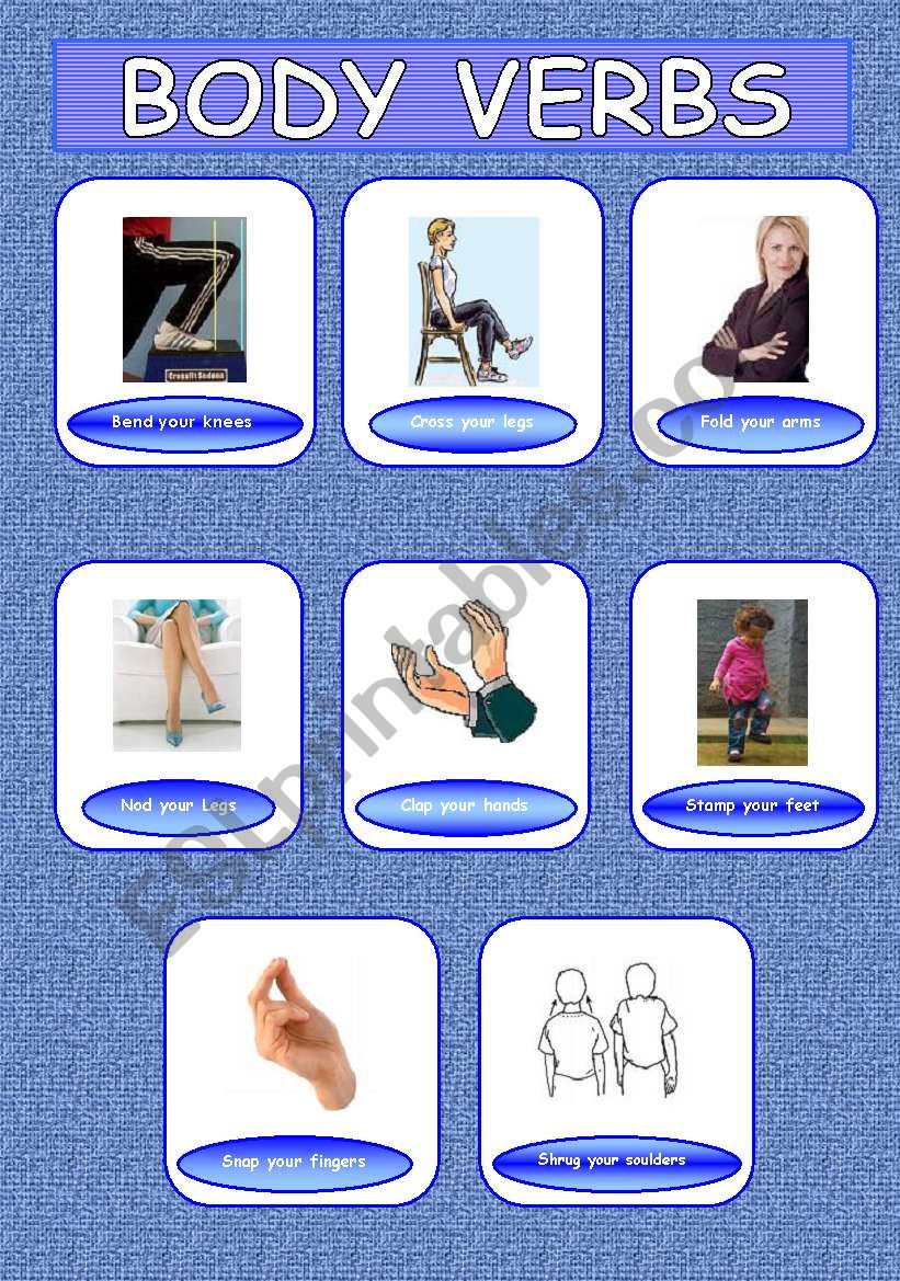 Body Movement - Combinations between verbs and body vocabulary