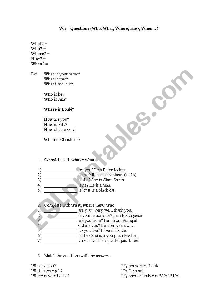 WH question worksheet worksheet