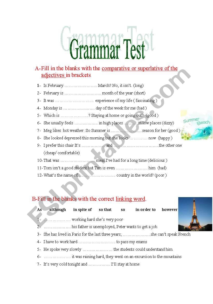 Grammar Test worksheet