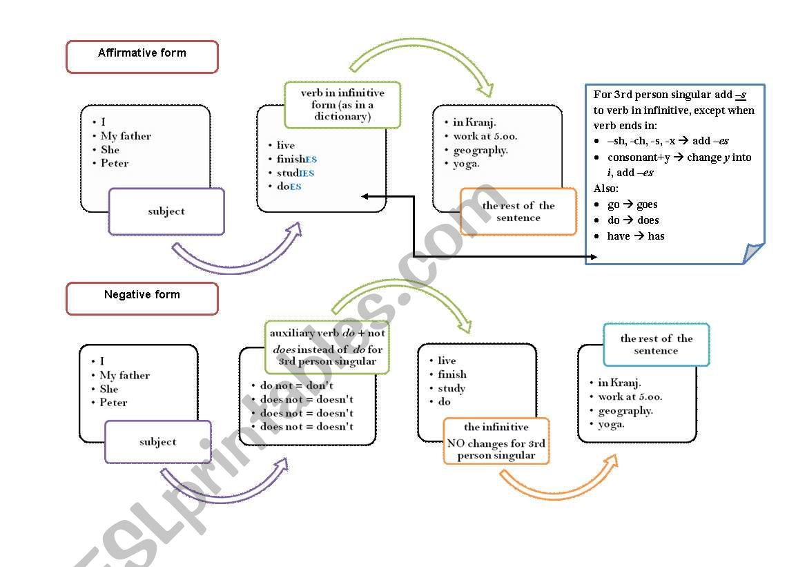 Present Simple Diagram worksheet