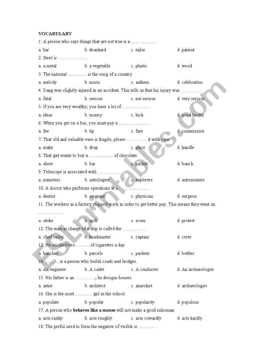 Vocabulary Test worksheet