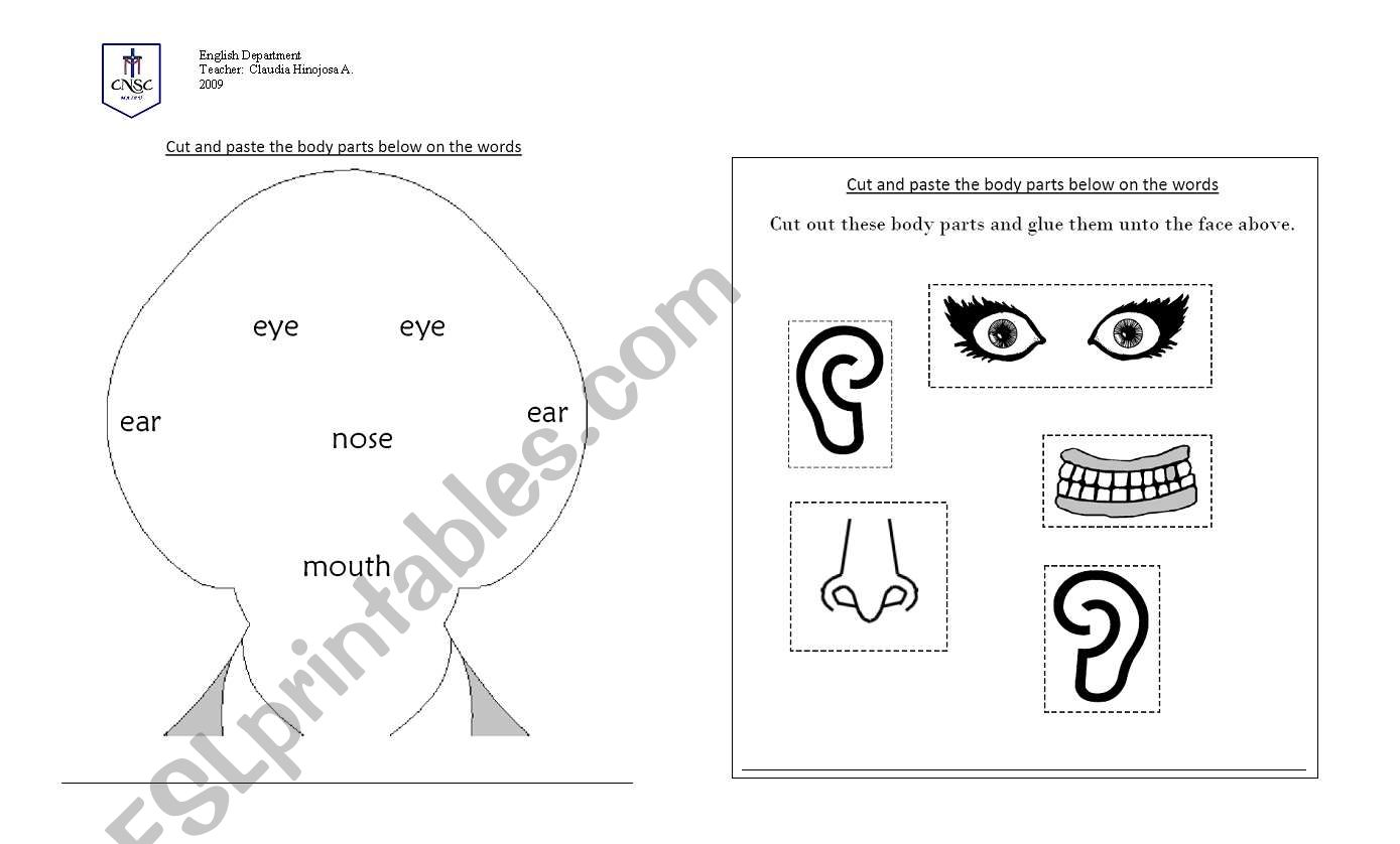 the face worksheet