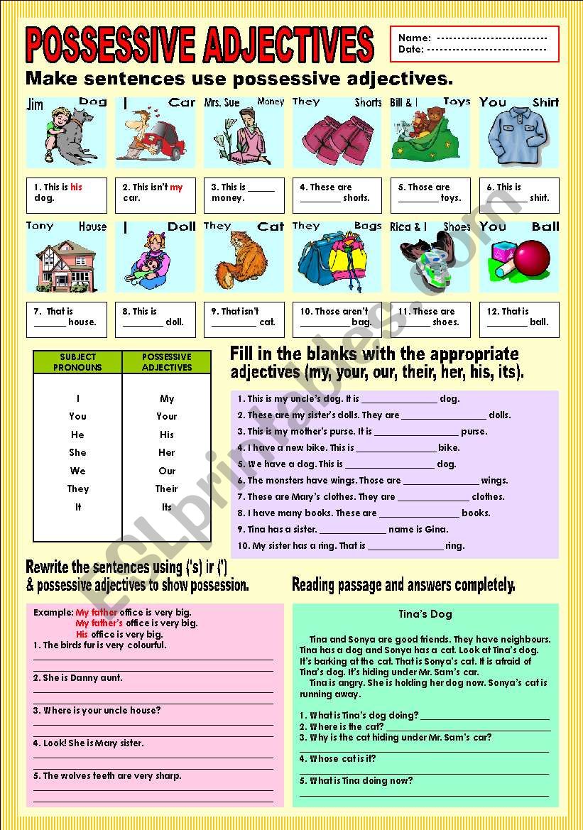 Possessive Adjectives (Review)