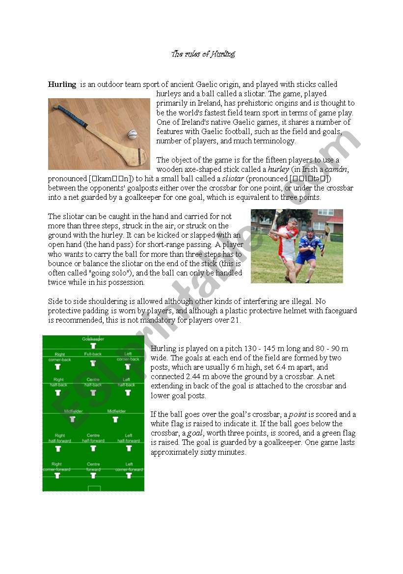 291597 1 Hurling S Rules 