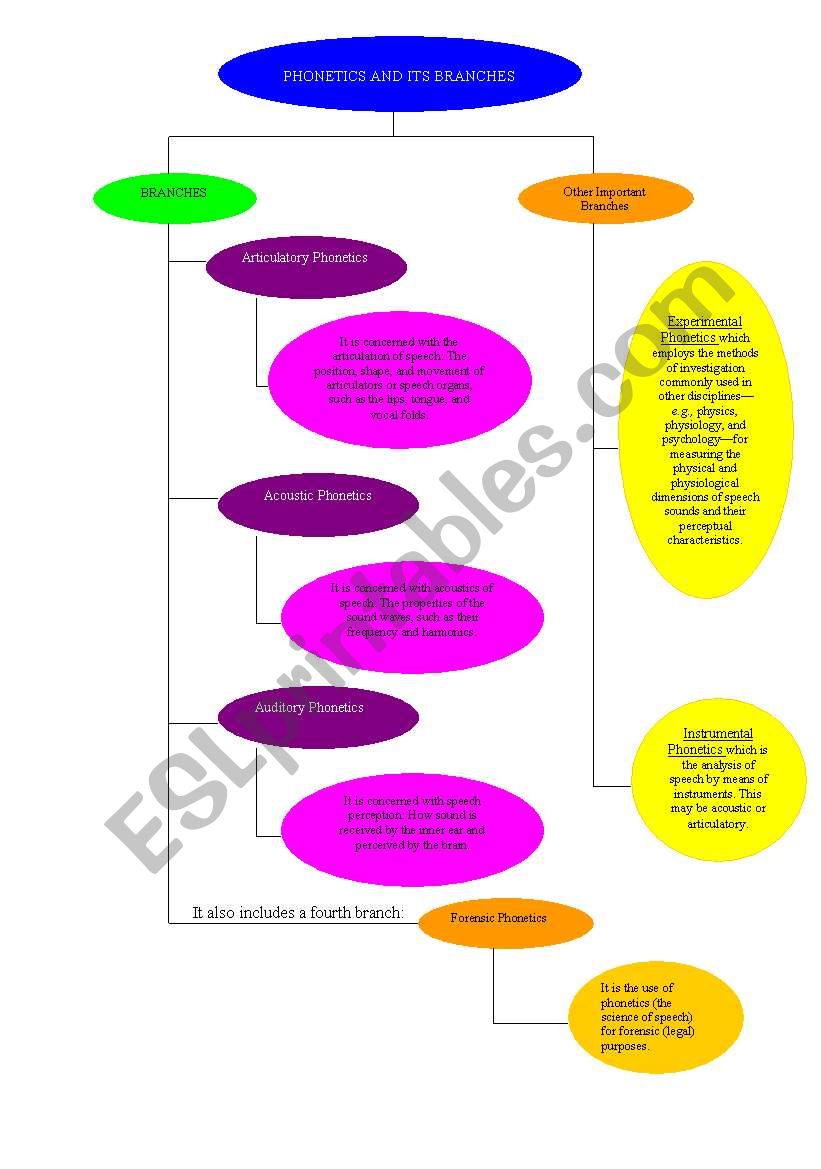 Phonetics and its branches worksheet
