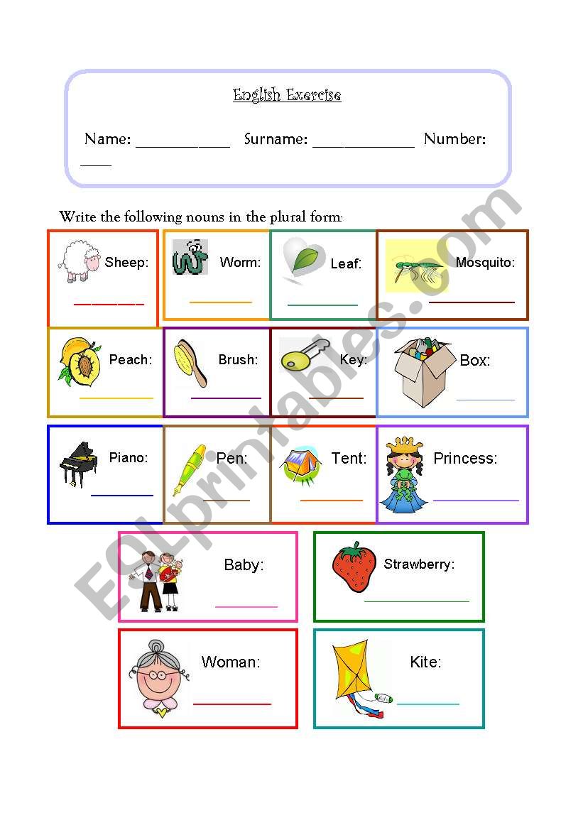 Exercise - Plural worksheet