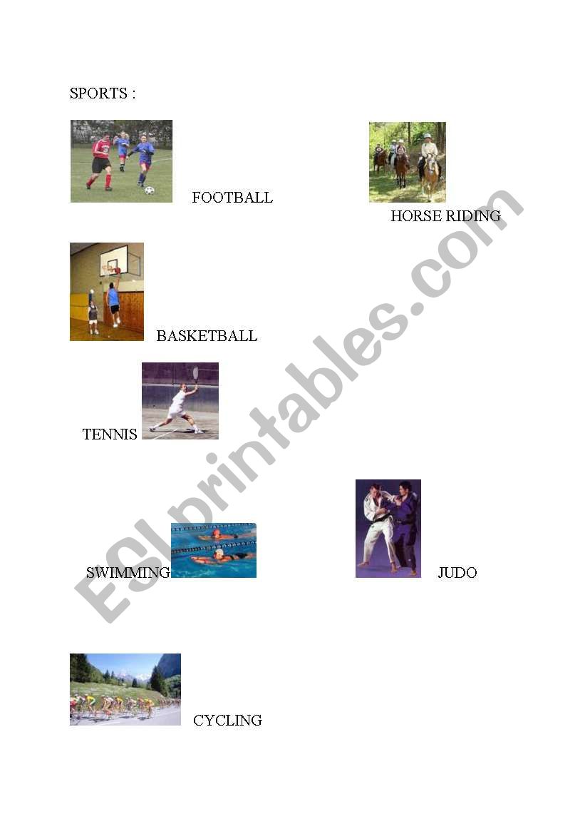 sports worksheet