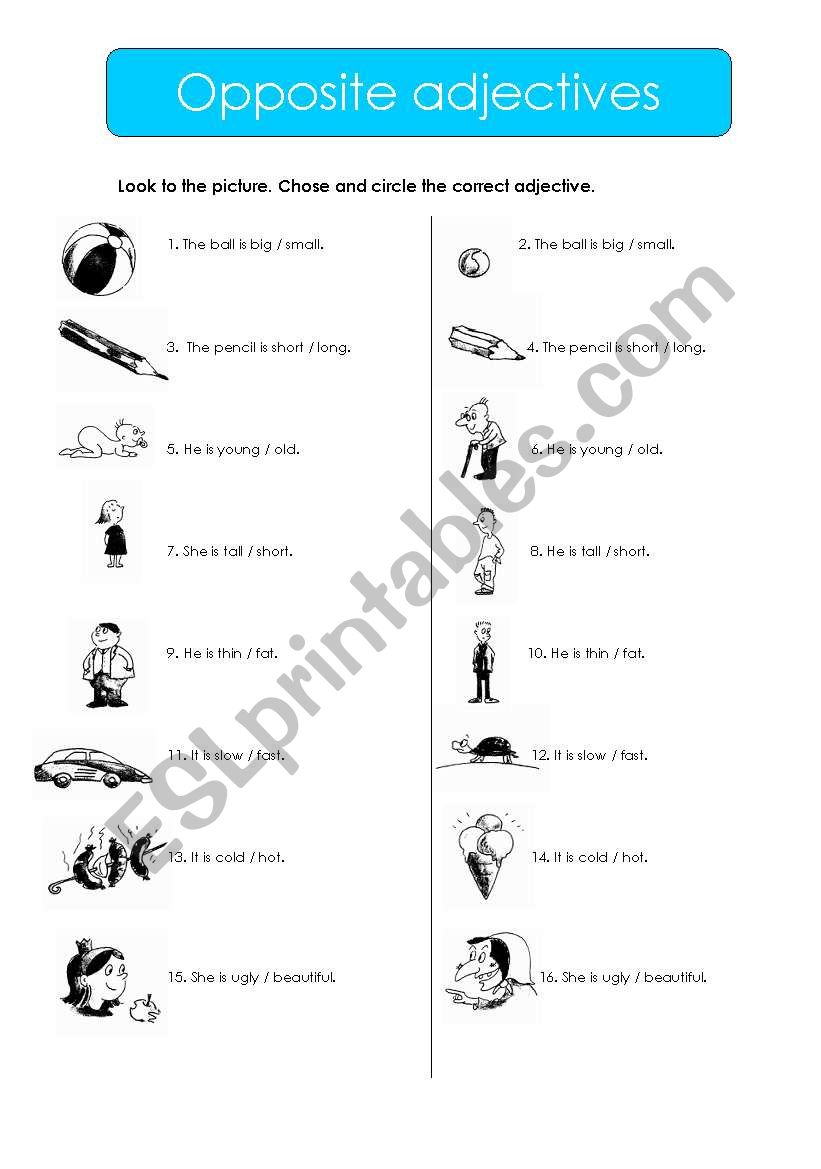 circle the correct opposite adjectives