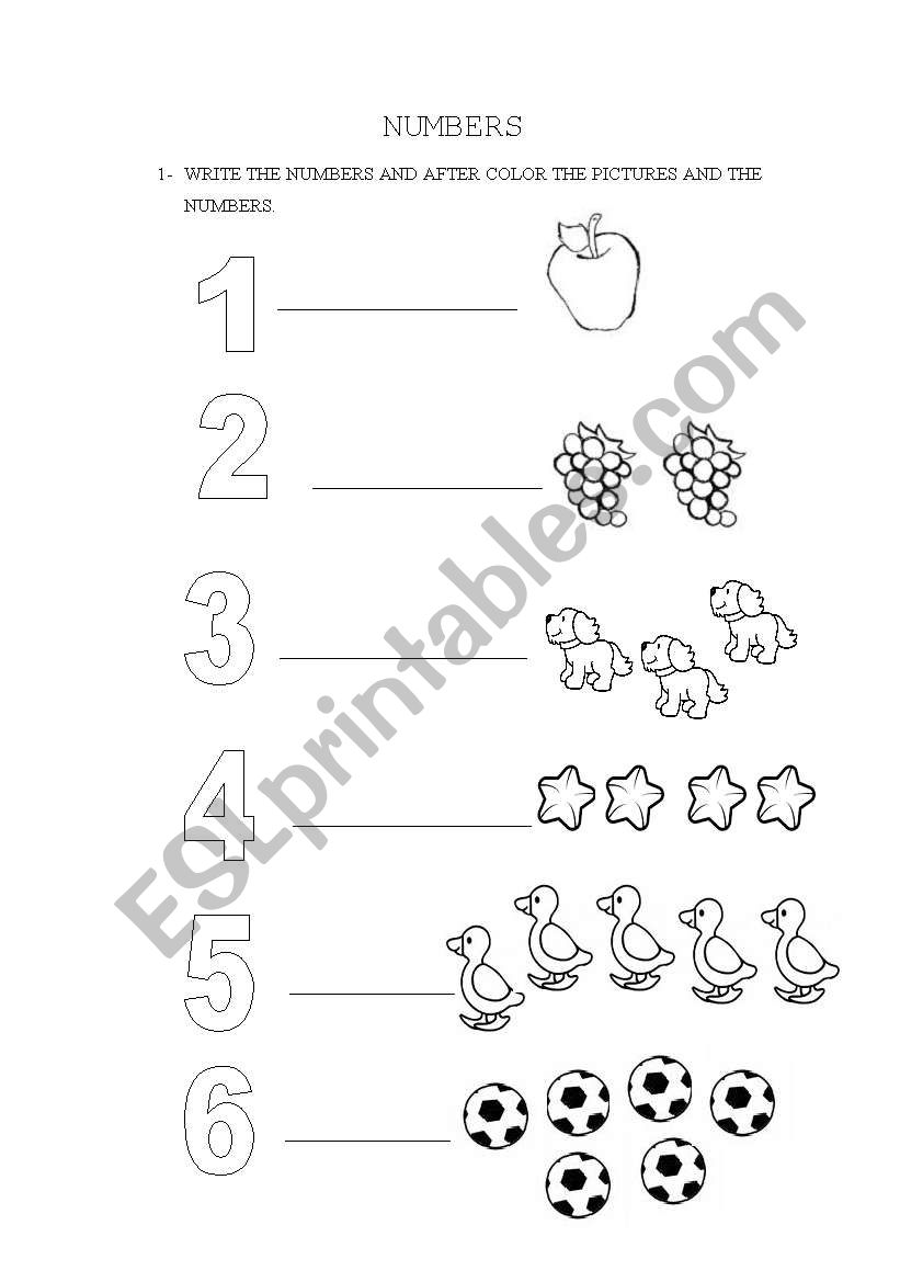 NUMBERS worksheet