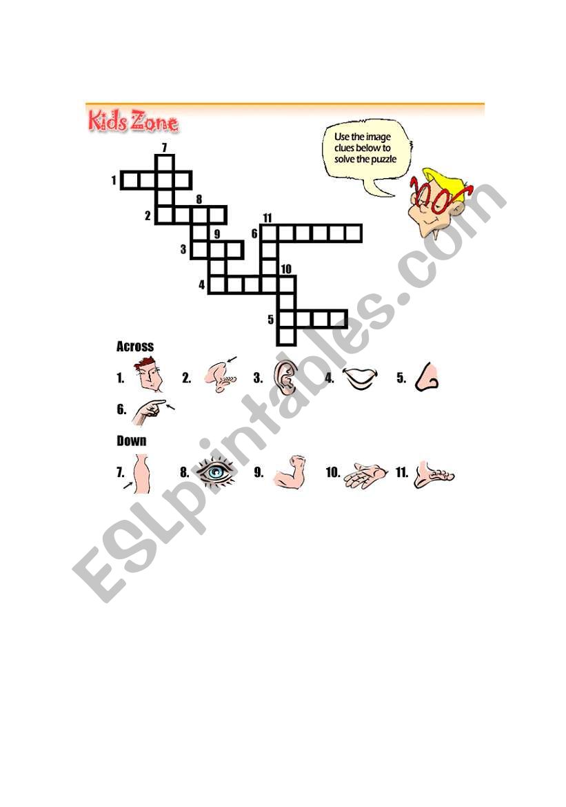 parts of body worksheet