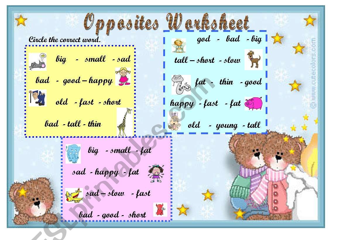 Opposites worksheet worksheet