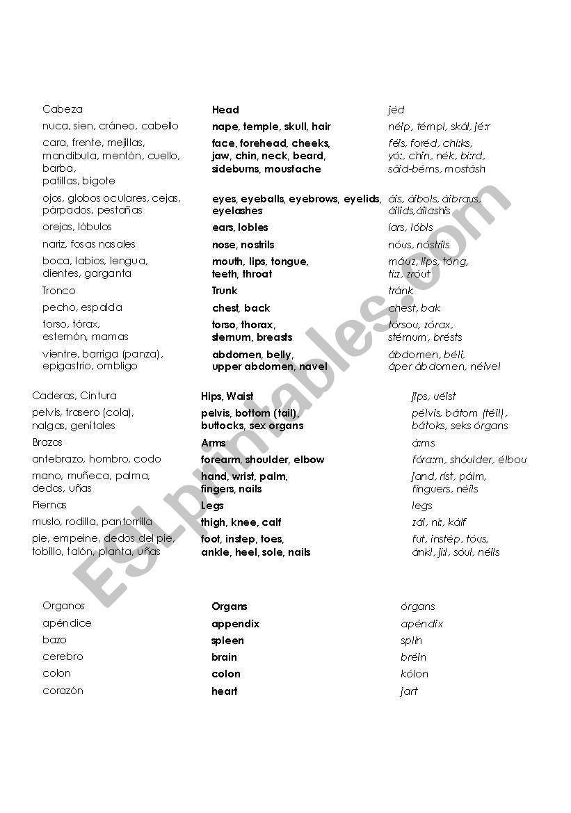 Body parts worksheet