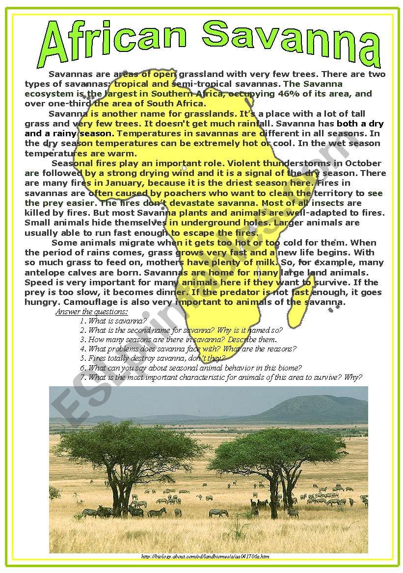 African Savanna worksheet