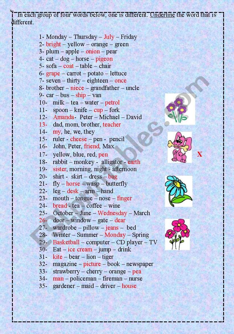 Vocabulary -  worksheet
