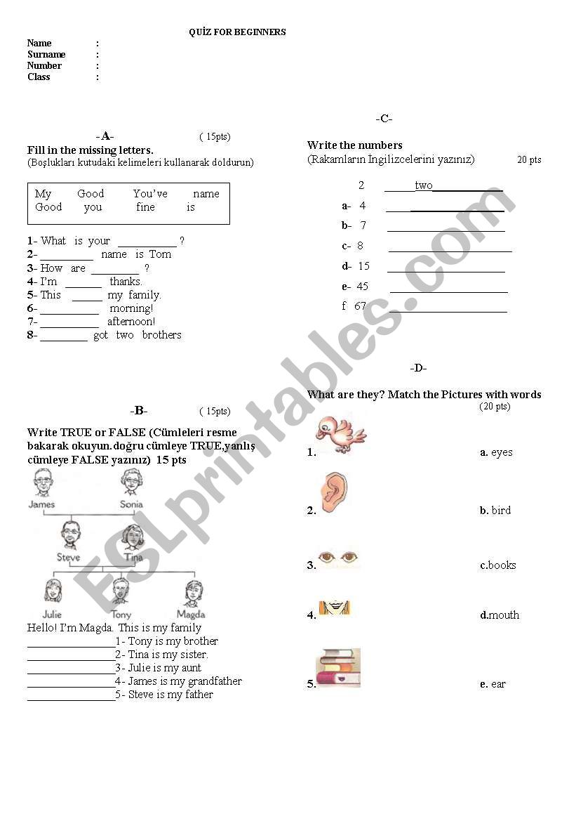 WORKSHEET FOR BEGINNERS worksheet