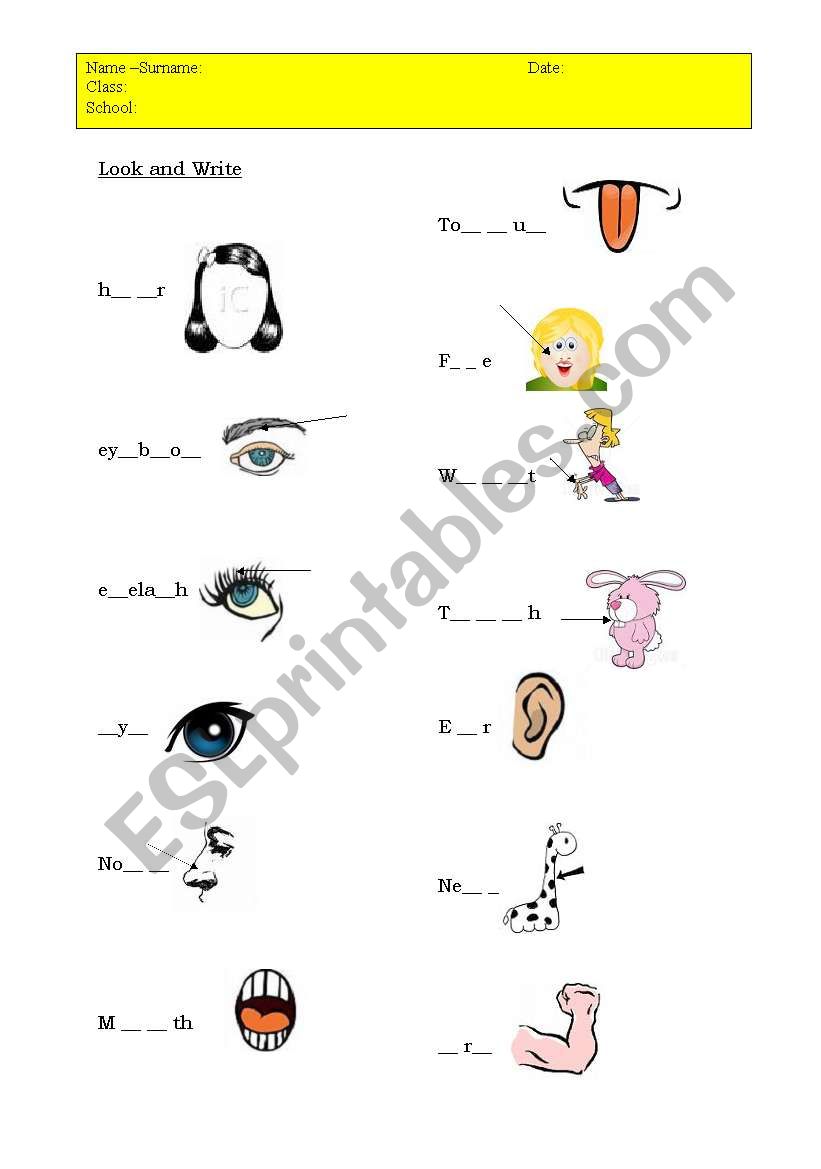 Body Parts worksheet