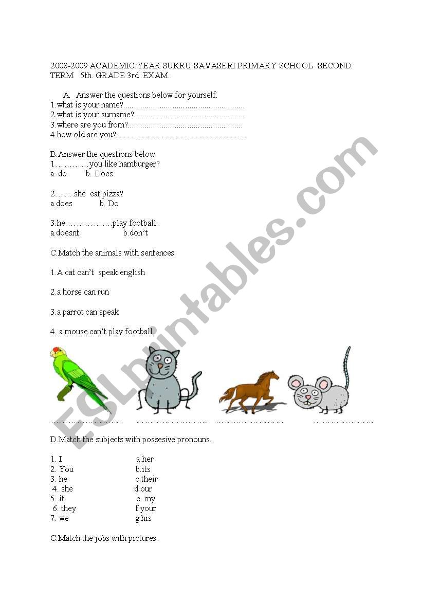 animals worksheet