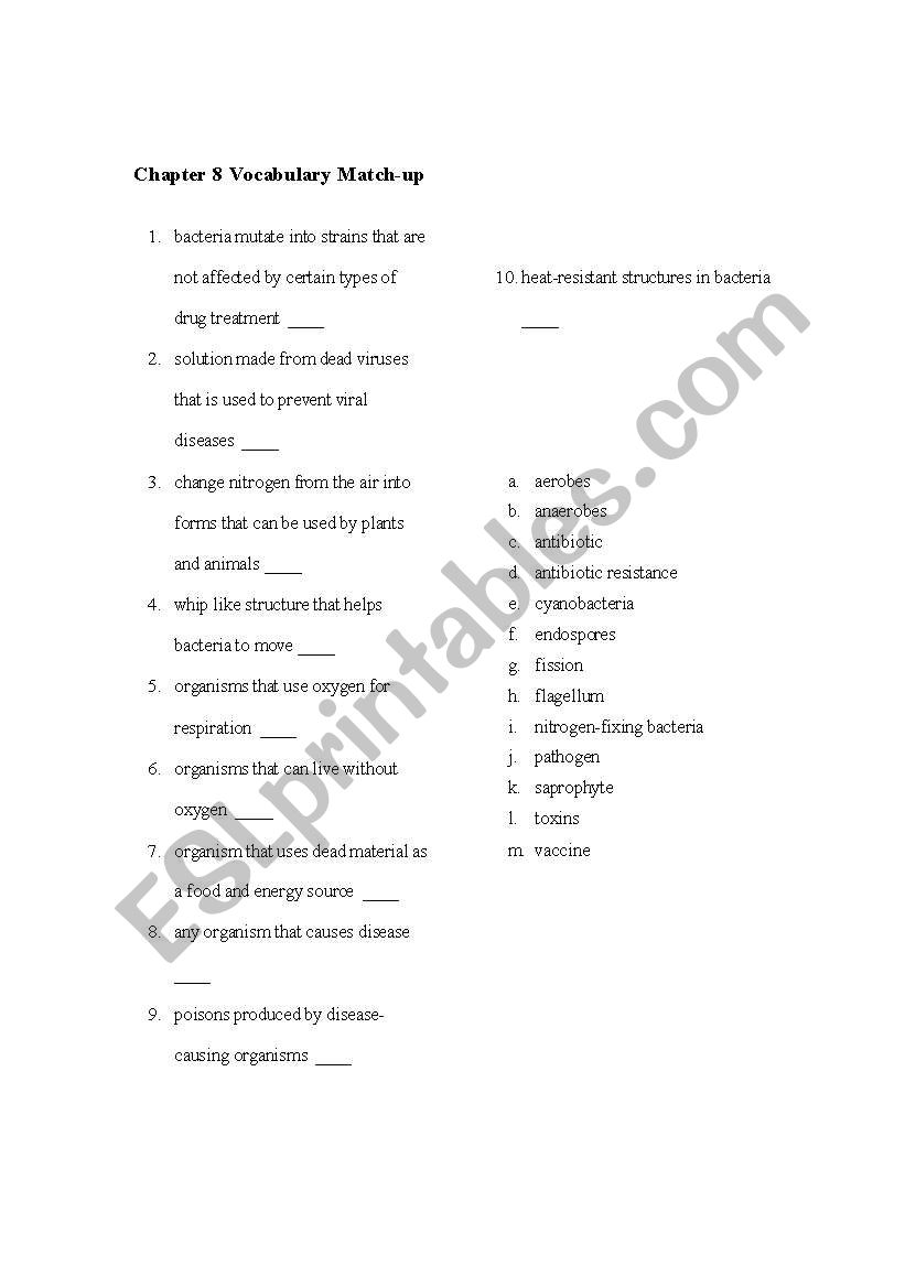 Vocabulary worksheet