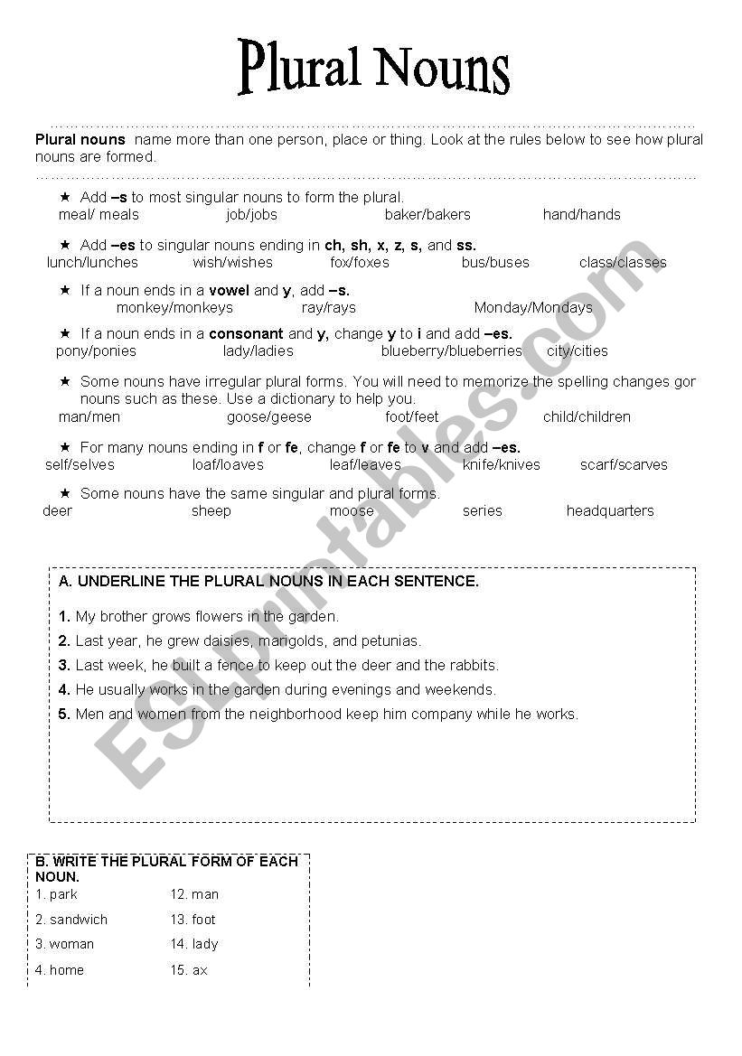 Plural nouns worksheet