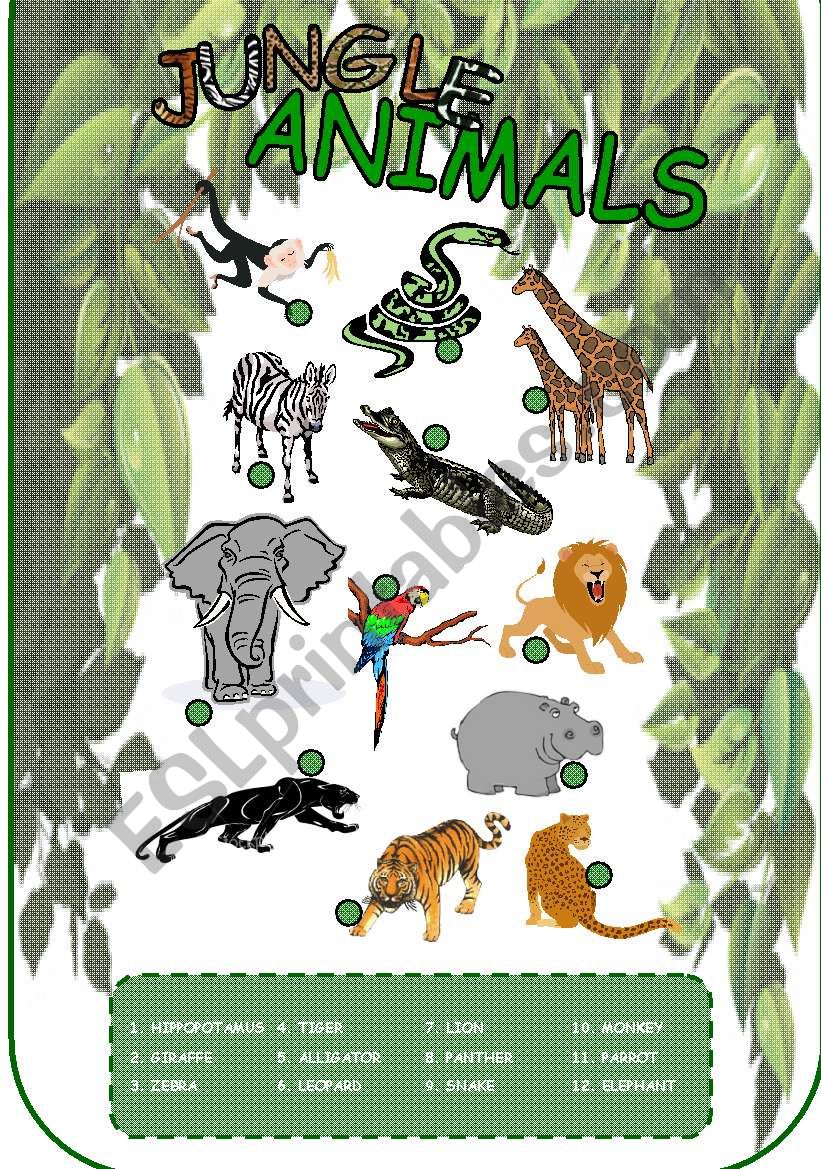 Jungle animals - a simple worksheet