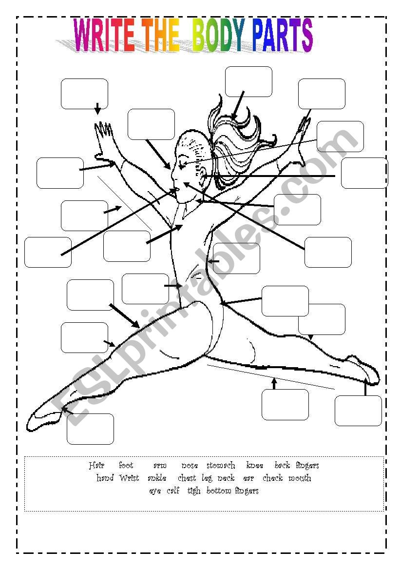 Write the body parts worksheet