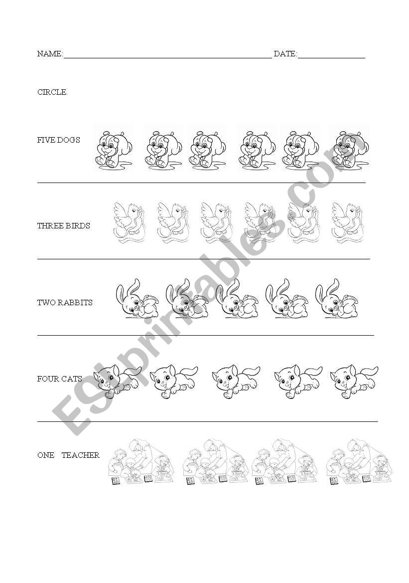 numbers worksheet