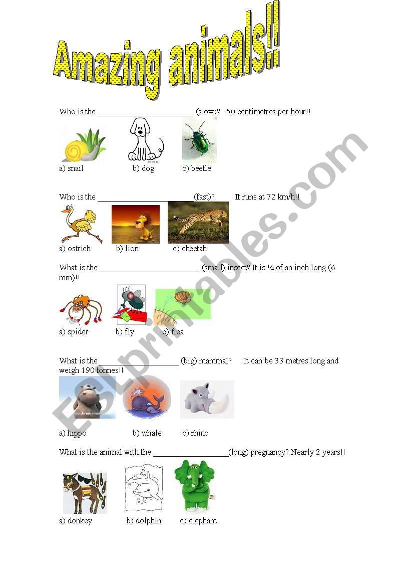 Amazing animals (superlative quiz)