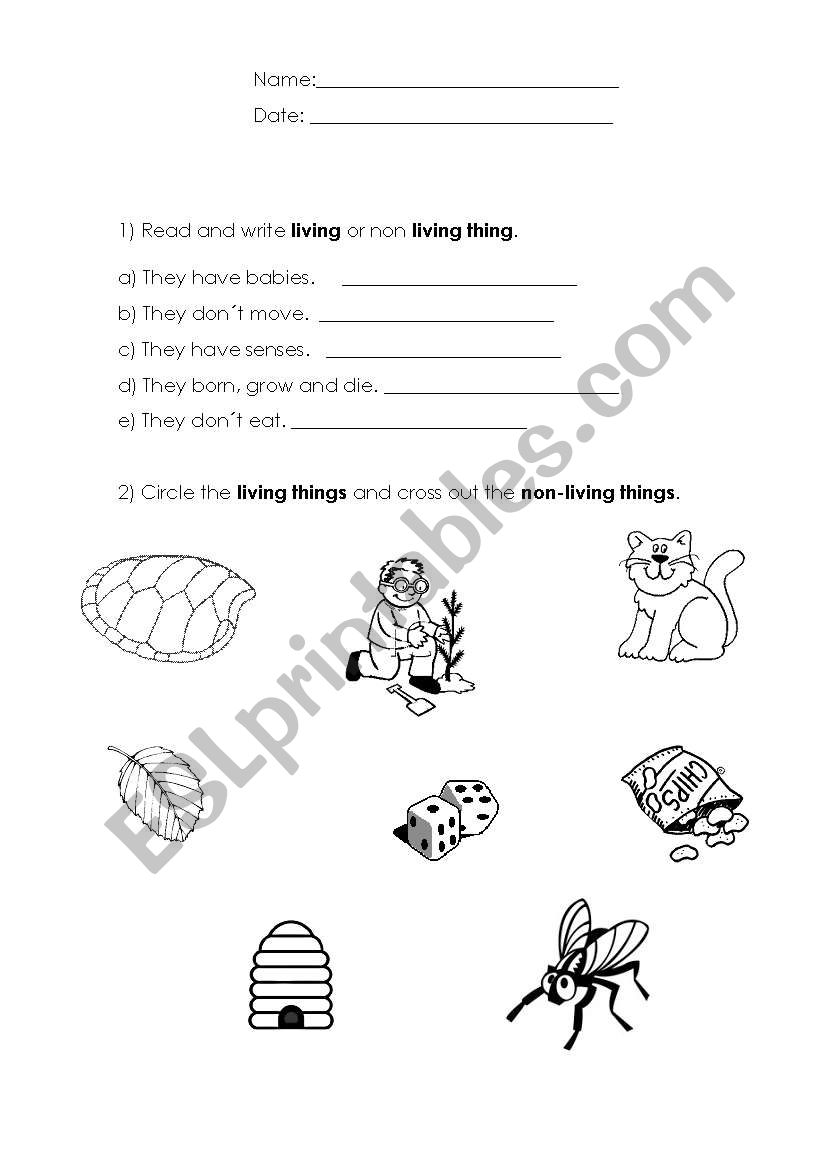 Science activities worksheet