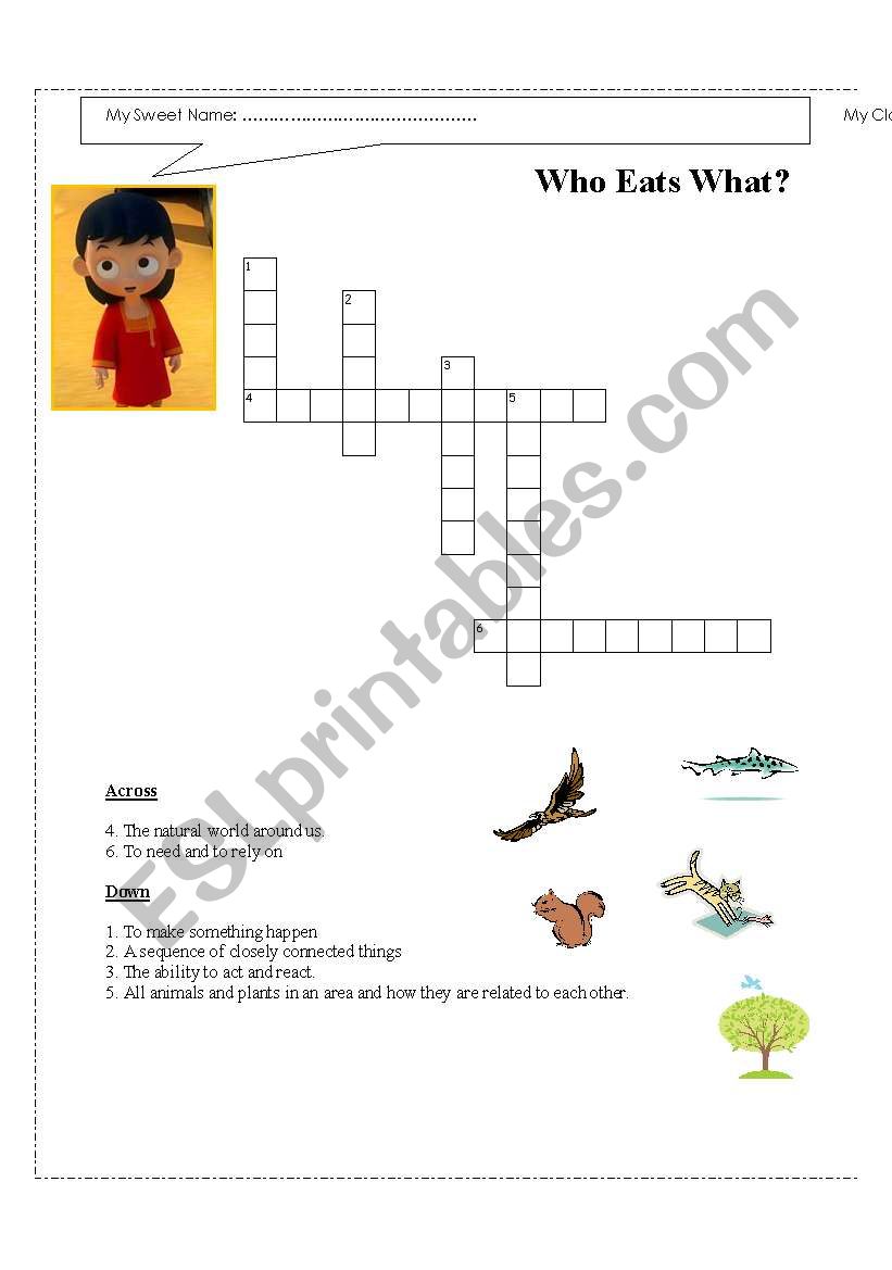 Who Eats What? worksheet
