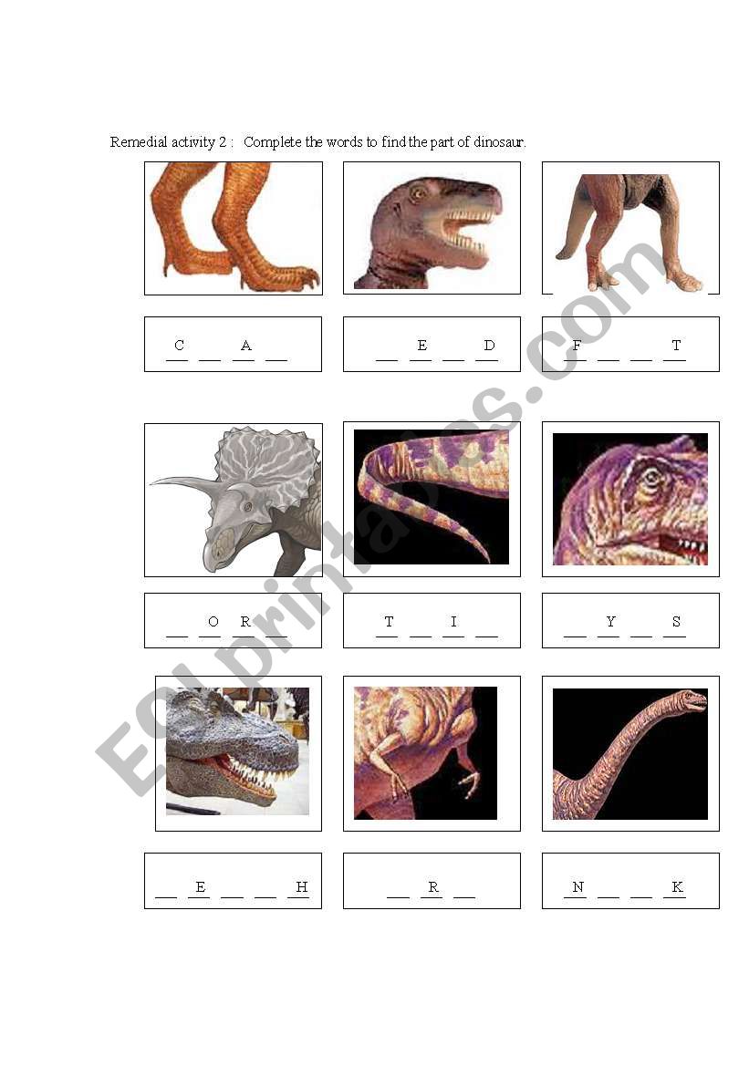 part of animals body worksheet