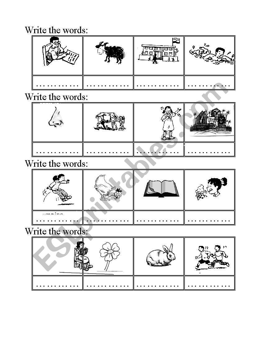 write the words  worksheet