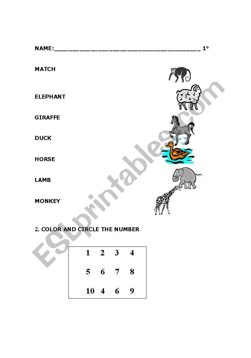 Animals and numbers worksheet