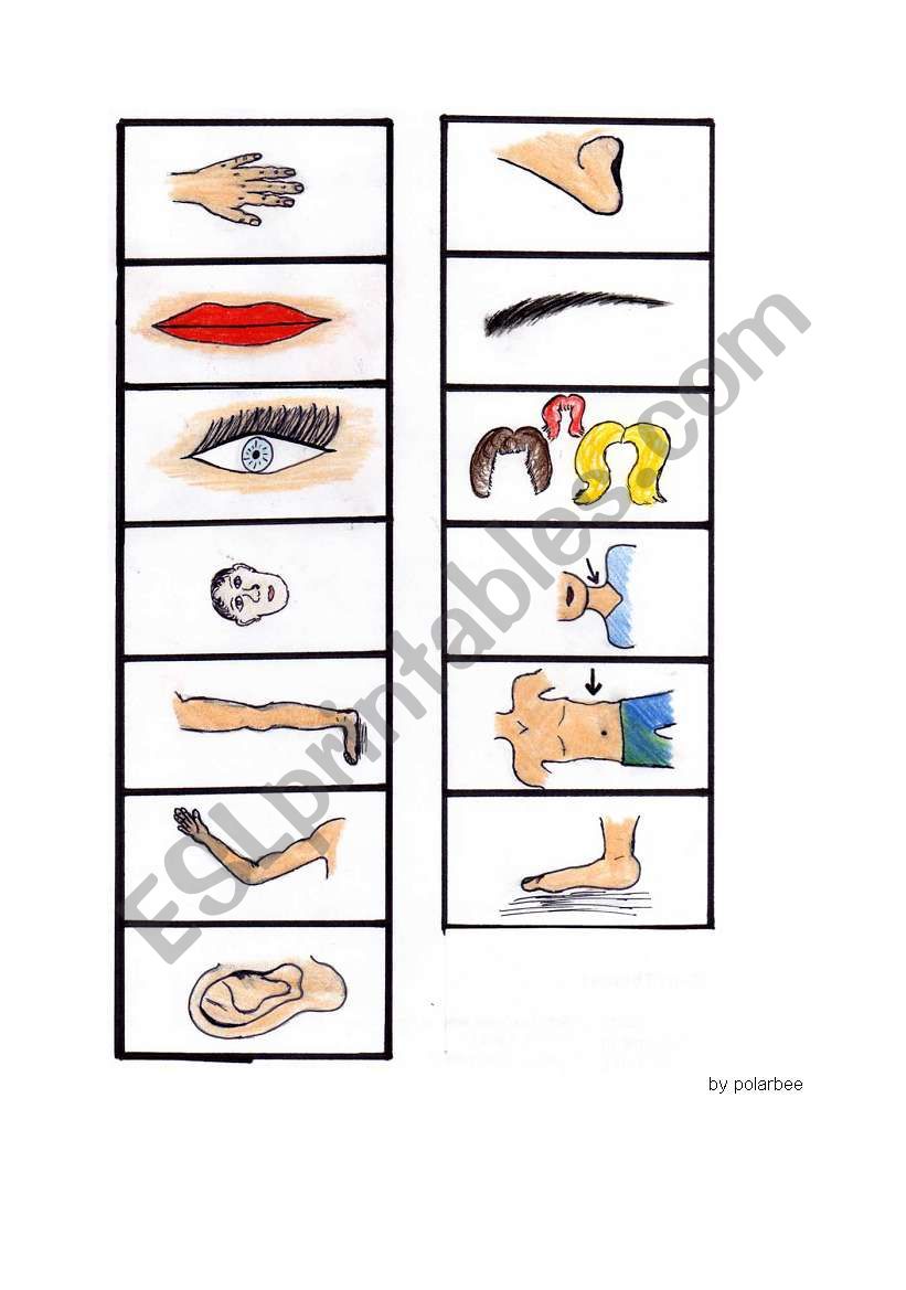 Body Memory 1 - pics worksheet