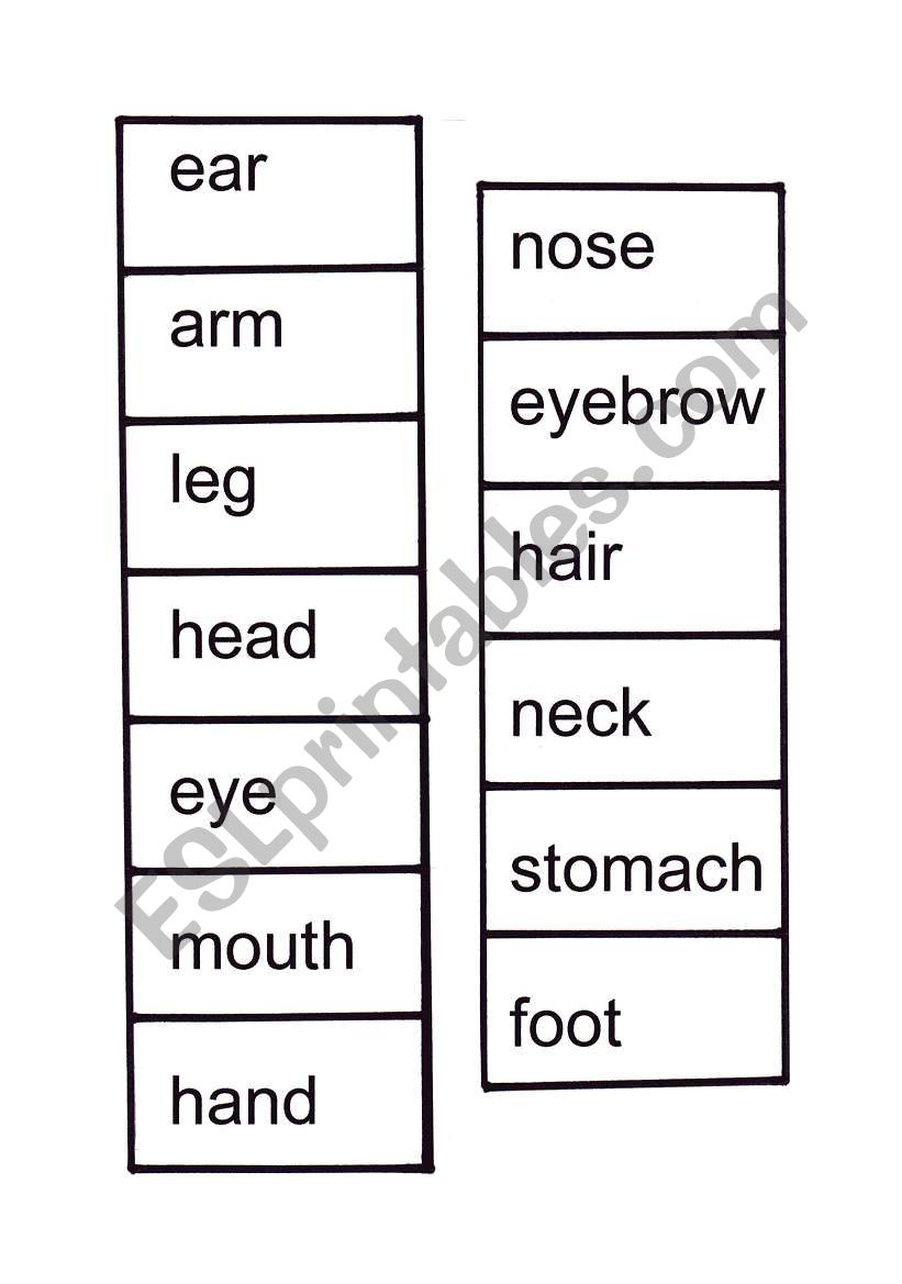 Body Memory 2 - words worksheet