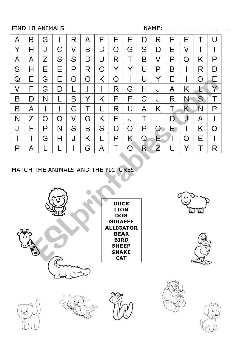 find animals worksheet