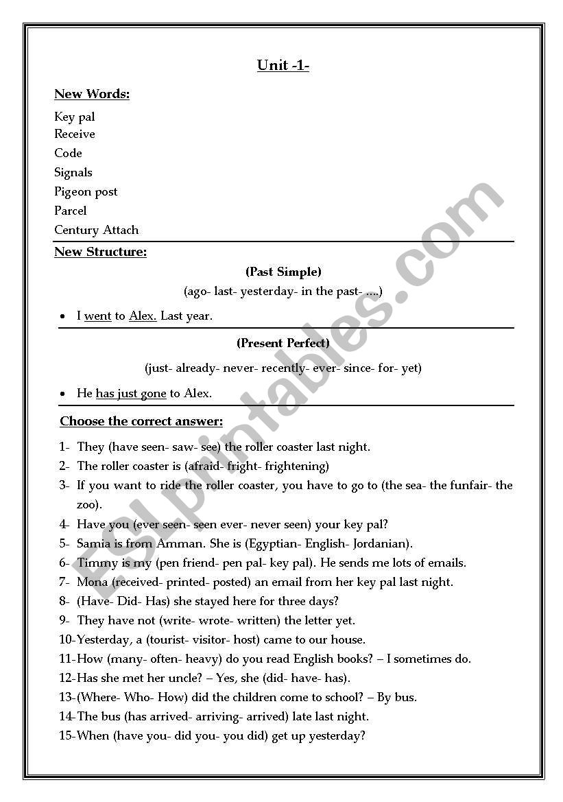 Vocabulary and Grammar worksheet