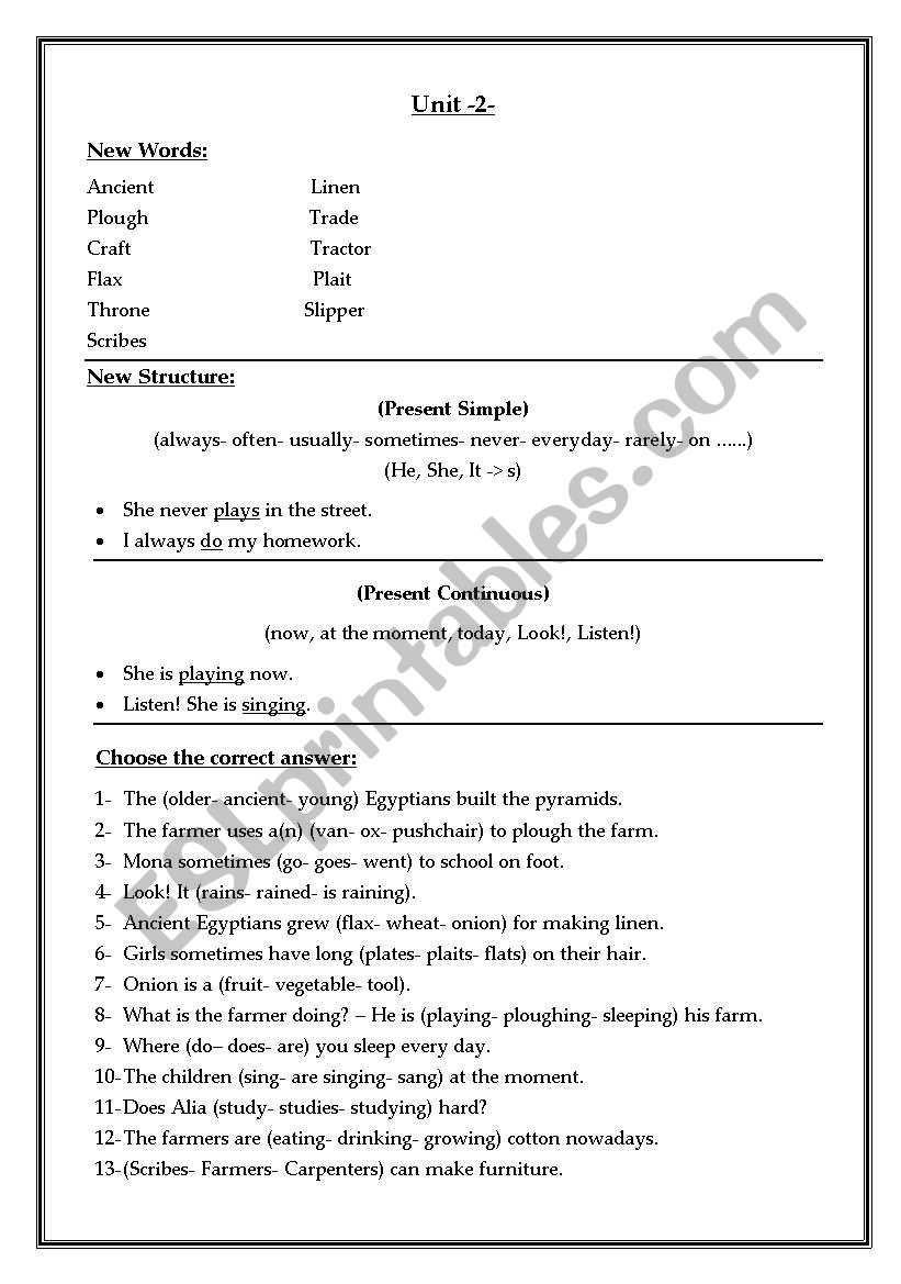 Vocabulary and Grammar 2 worksheet