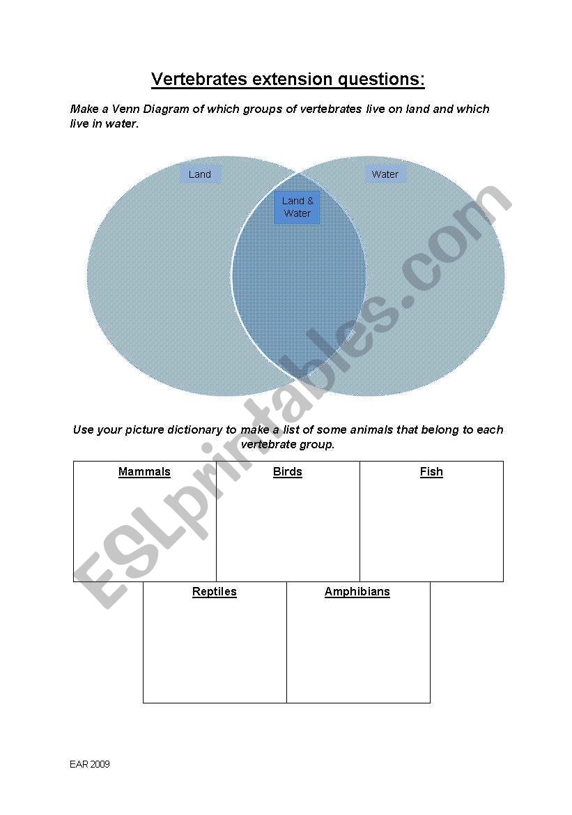 Vertebrates - Animal Classes worksheet