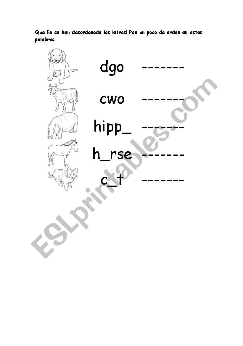 Animals worksheet